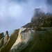 Andean condor and Los Cuernos