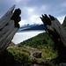 Along the trail in Torres del Paine