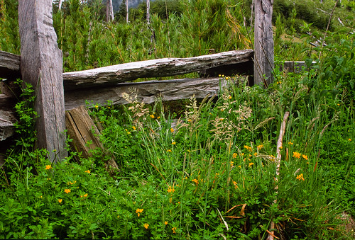 Hand-hewn fence alongside the Carretera Austral