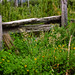 Hand-hewn fence alongside the Carretera Austral