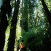 Hiking in Pumalin Park